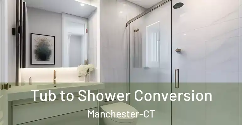 inner Bathroom imggen Tub to Shower Conversion Manchester-CT