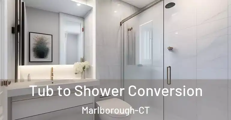 inner Bathroom imggen Tub to Shower Conversion Marlborough-CT