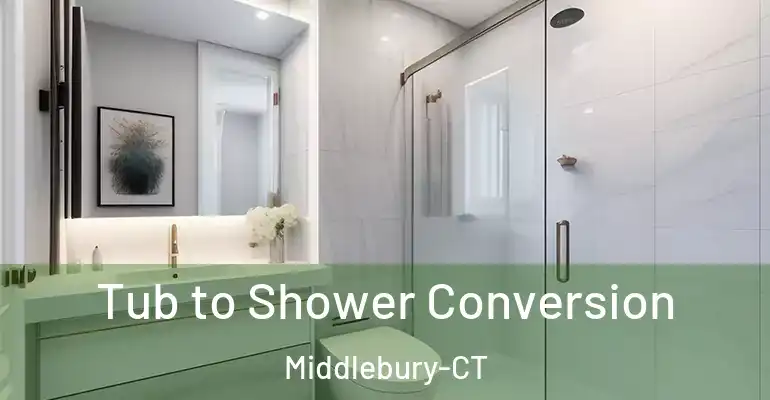 inner Bathroom imggen Tub to Shower Conversion Middlebury-CT