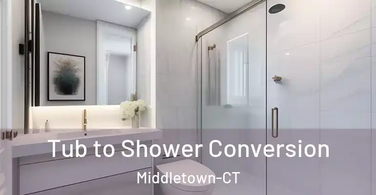 inner Bathroom imggen Tub to Shower Conversion Middletown-CT