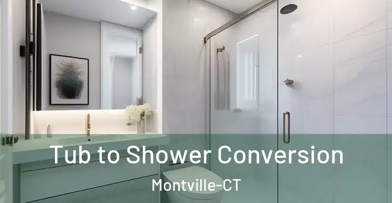 inner Bathroom imggen Tub to Shower Conversion Montville-CT