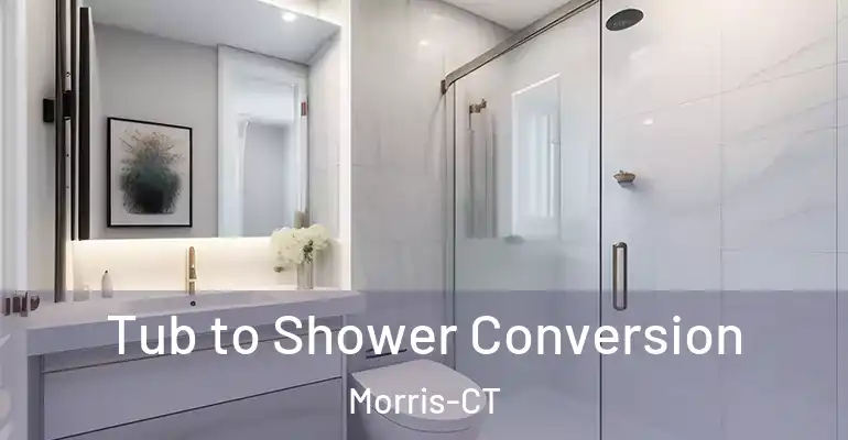 inner Bathroom imggen Tub to Shower Conversion Morris-CT