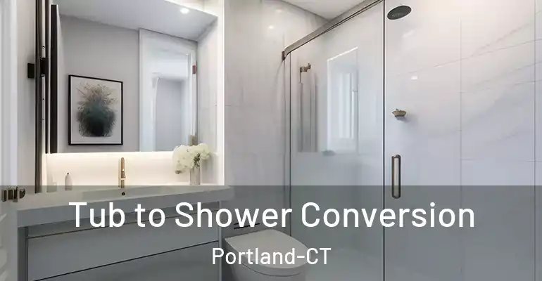 inner Bathroom imggen Tub to Shower Conversion Portland-CT