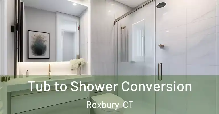 inner Bathroom imggen Tub to Shower Conversion Roxbury-CT
