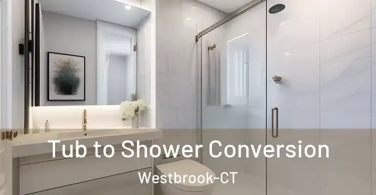 inner Bathroom imggen Tub to Shower Conversion Westbrook-CT