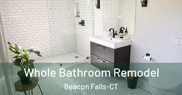 inner Bathroom imggen Whole Bathroom Remodel Beacon Falls-CT