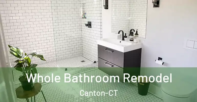 inner Bathroom imggen Whole Bathroom Remodel Canton-CT