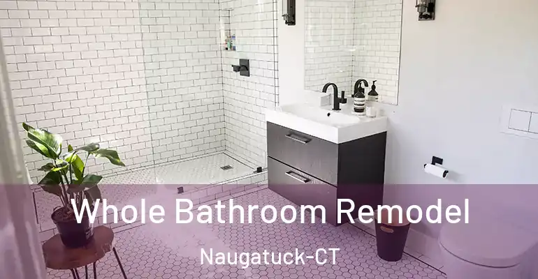 inner Bathroom imggen Whole Bathroom Remodel Naugatuck-CT