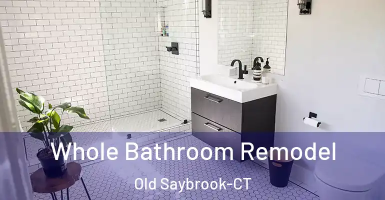 inner Bathroom imggen Whole Bathroom Remodel Old Saybrook-CT