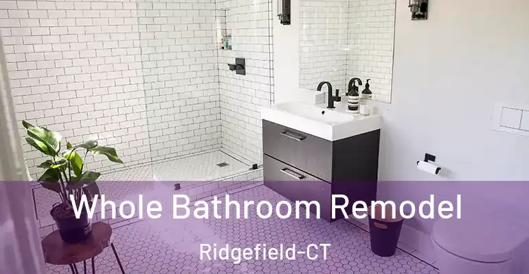 inner Bathroom imggen Whole Bathroom Remodel Ridgefield-CT